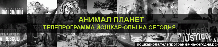 Телепрограмма на сегодня канала Анимал Планет, Йошкар-Ола
