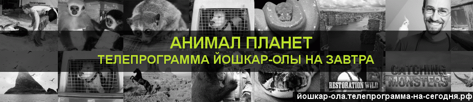 Телепрограмма на завтра канала Анимал Планет, Йошкар-Ола