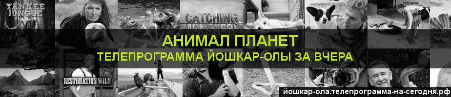 Телепрограмма за вчера канала Анимал Планет, Йошкар-Ола