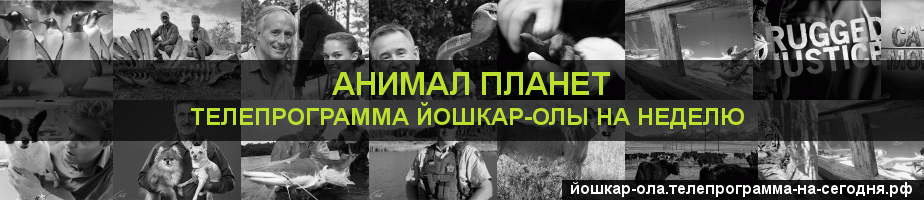 Телепрограмма на неделю канала Анимал Планет, Йошкар-Ола